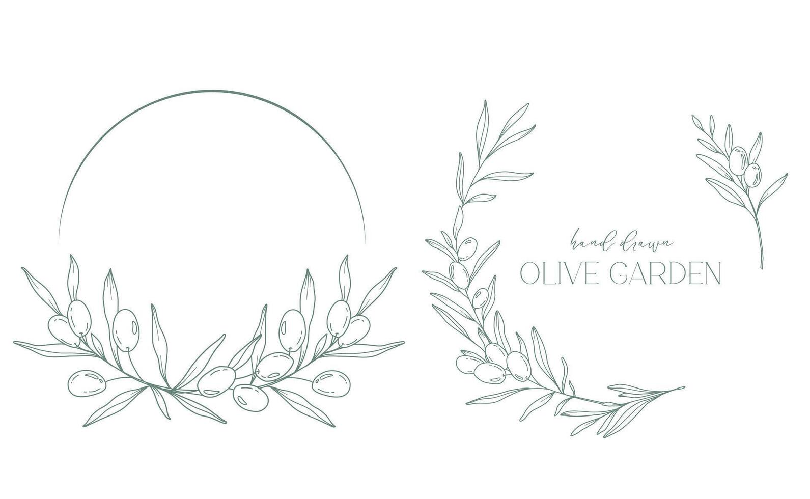 Oliven Linie Zeichnung. schwarz und Weiß Olive rahmen. Olive Kranz isoliert. Blumen- Linie Kunst. fein Linie Olive Illustration. schwarz und Weiß Olive Geäst. Hand gezeichnet Olive. Hochzeit Einladung Grün vektor