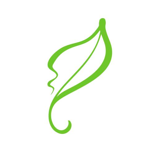 Hand gezeichnetes grünes Logoblatt des Öko-Tees. Organische Kosmetik der Ökologie Natur Element Vektor Ikone. Vegane Biokalligraphieabbildung