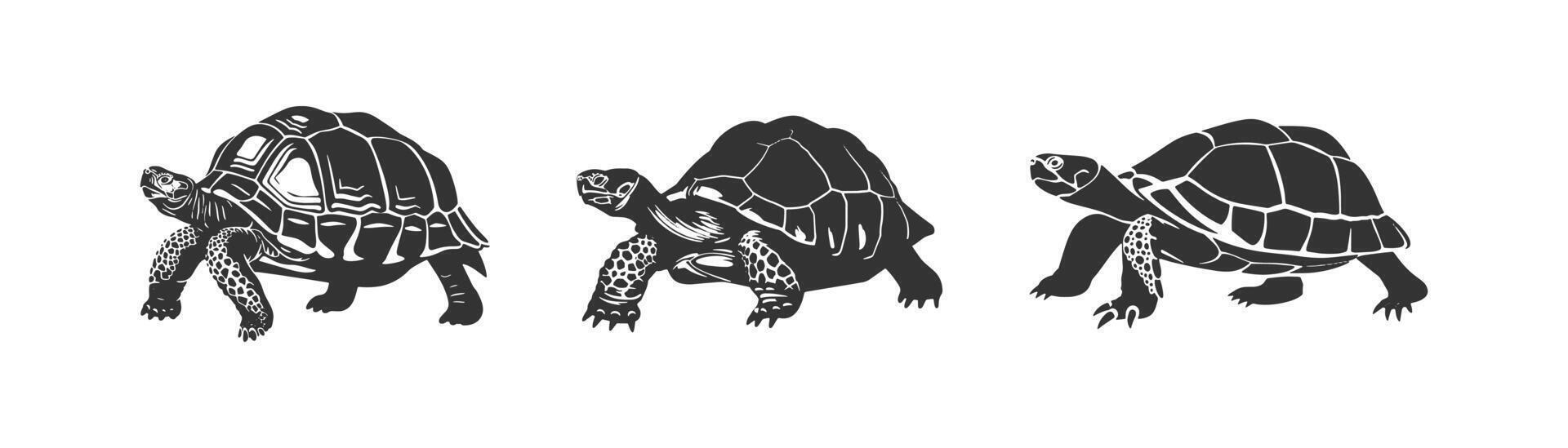 sköldpadda silhuett ikon uppsättning. vektor illustration design.