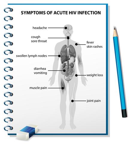 Symtom på akut HIV-infektionsdiagram vektor