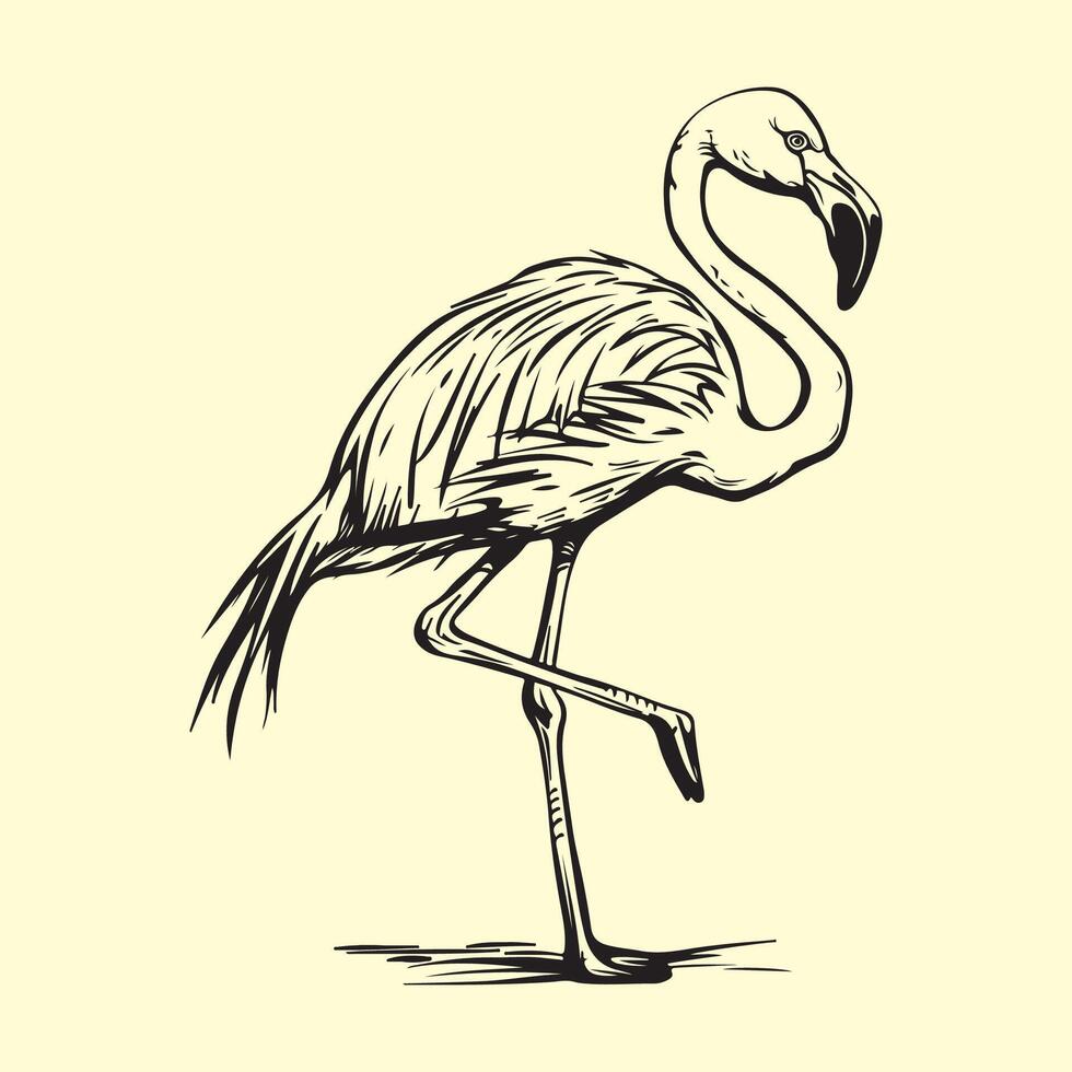 flamingo vektor konst och grafik