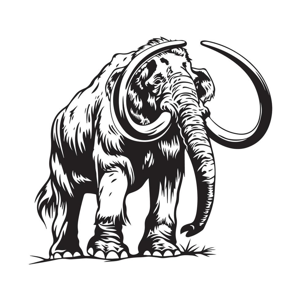 Mammut Vektor Kunst, Symbole, und Grafik