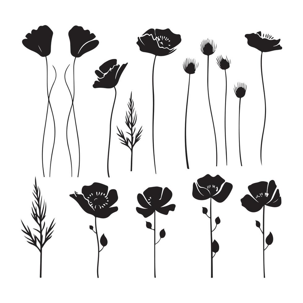 ein schwarz Silhouette Mohn Blume einstellen vektor