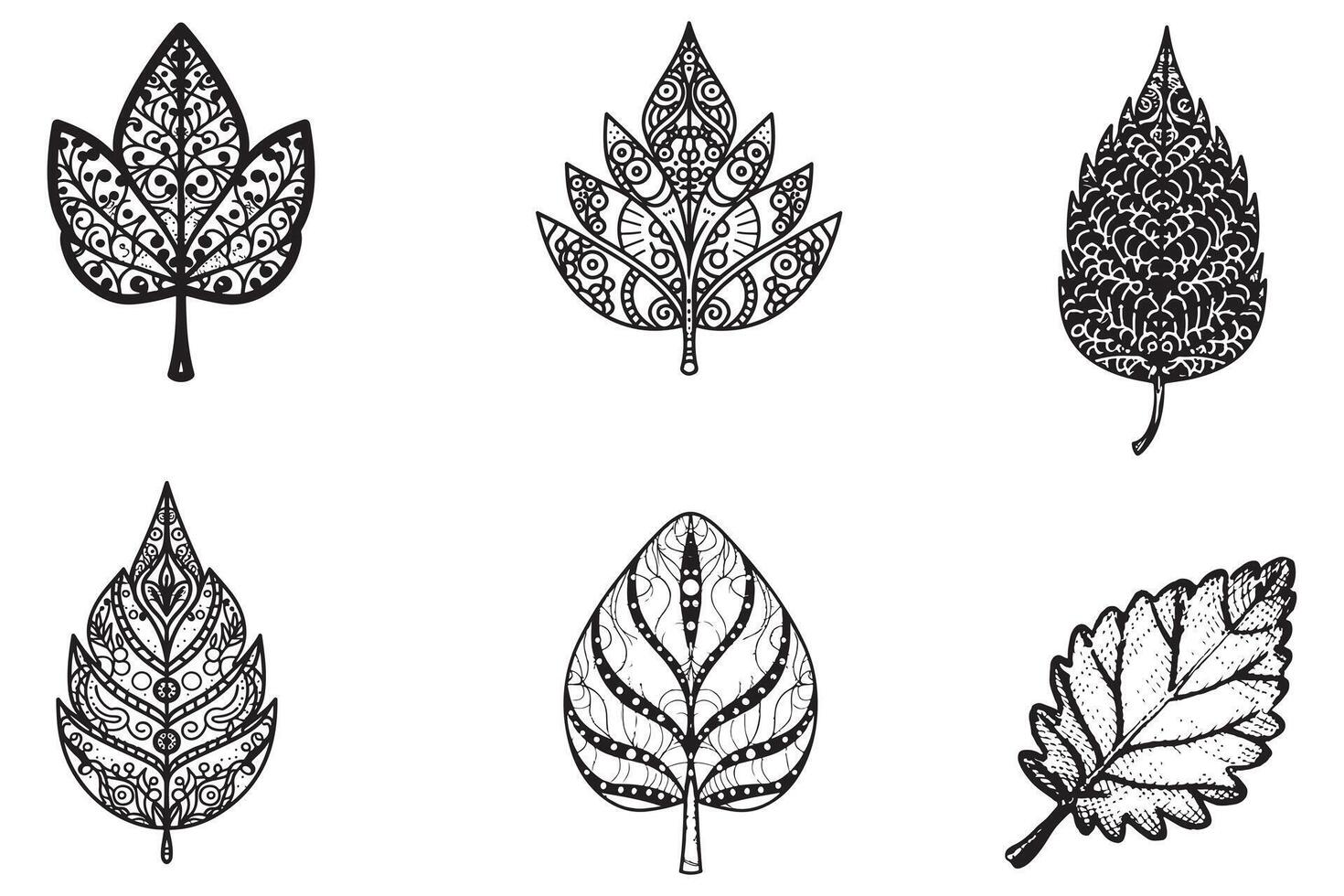 dekorativ blad hand dragen uppsättning vektor på vit bakgrund