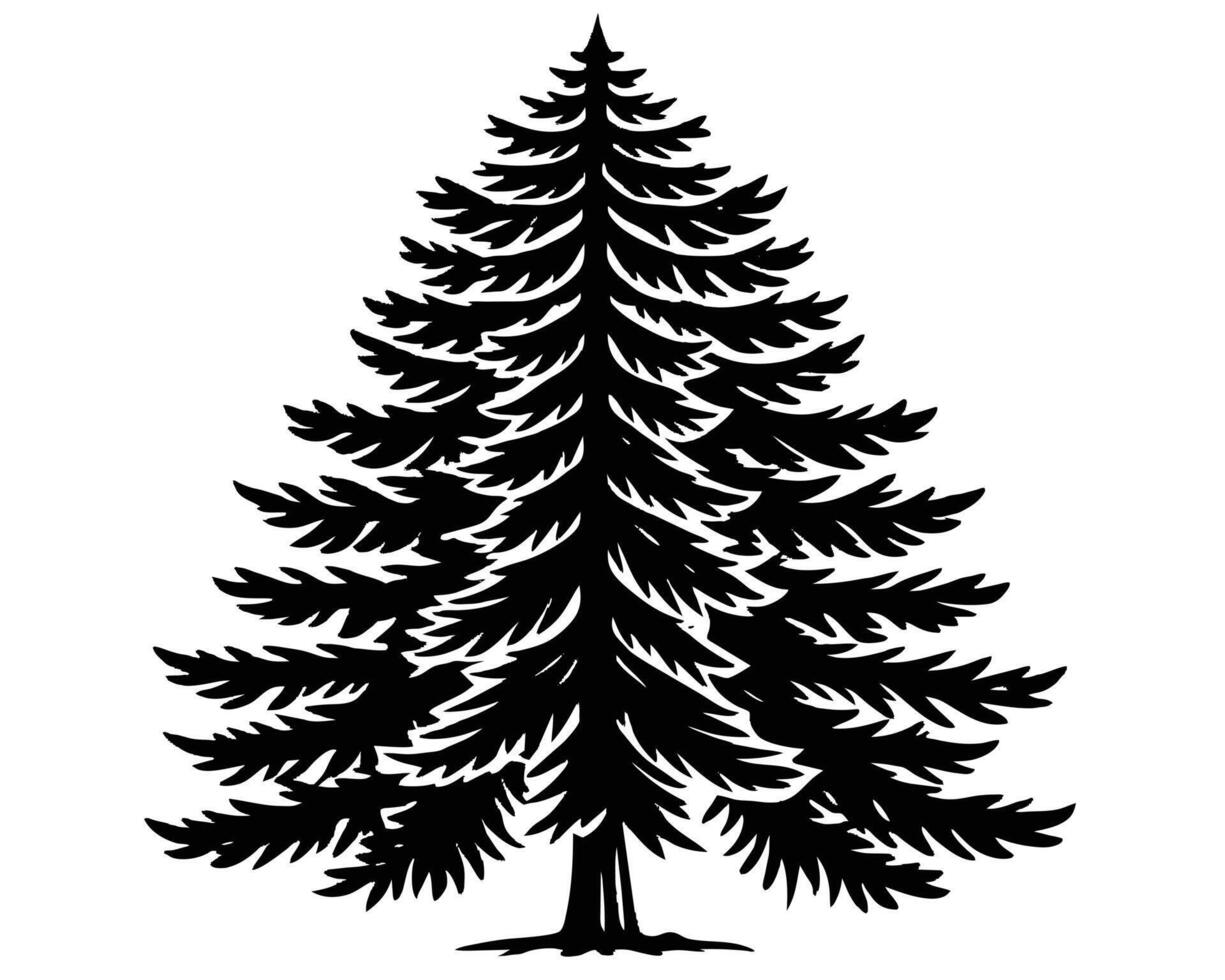 Silhouette von hoch Kiefer Baum auf ein Weiß Hintergrund Vektor Illustration