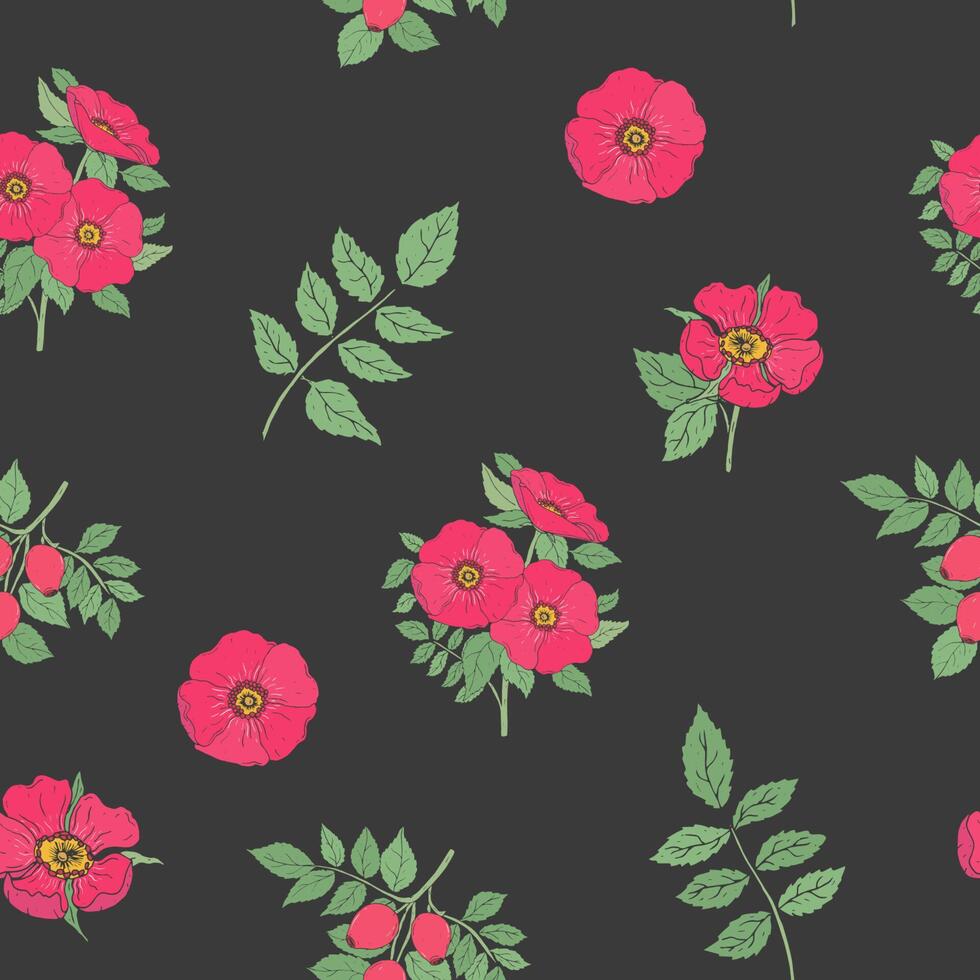 Blumen- nahtlos Muster mit elegant Hund Rose Blumen, Stängel und Blätter Hand gezeichnet im retro Stil auf schwarz Hintergrund. botanisch Vektor Illustration zum Verpackung Papier, Stoff drucken, Hintergrund.