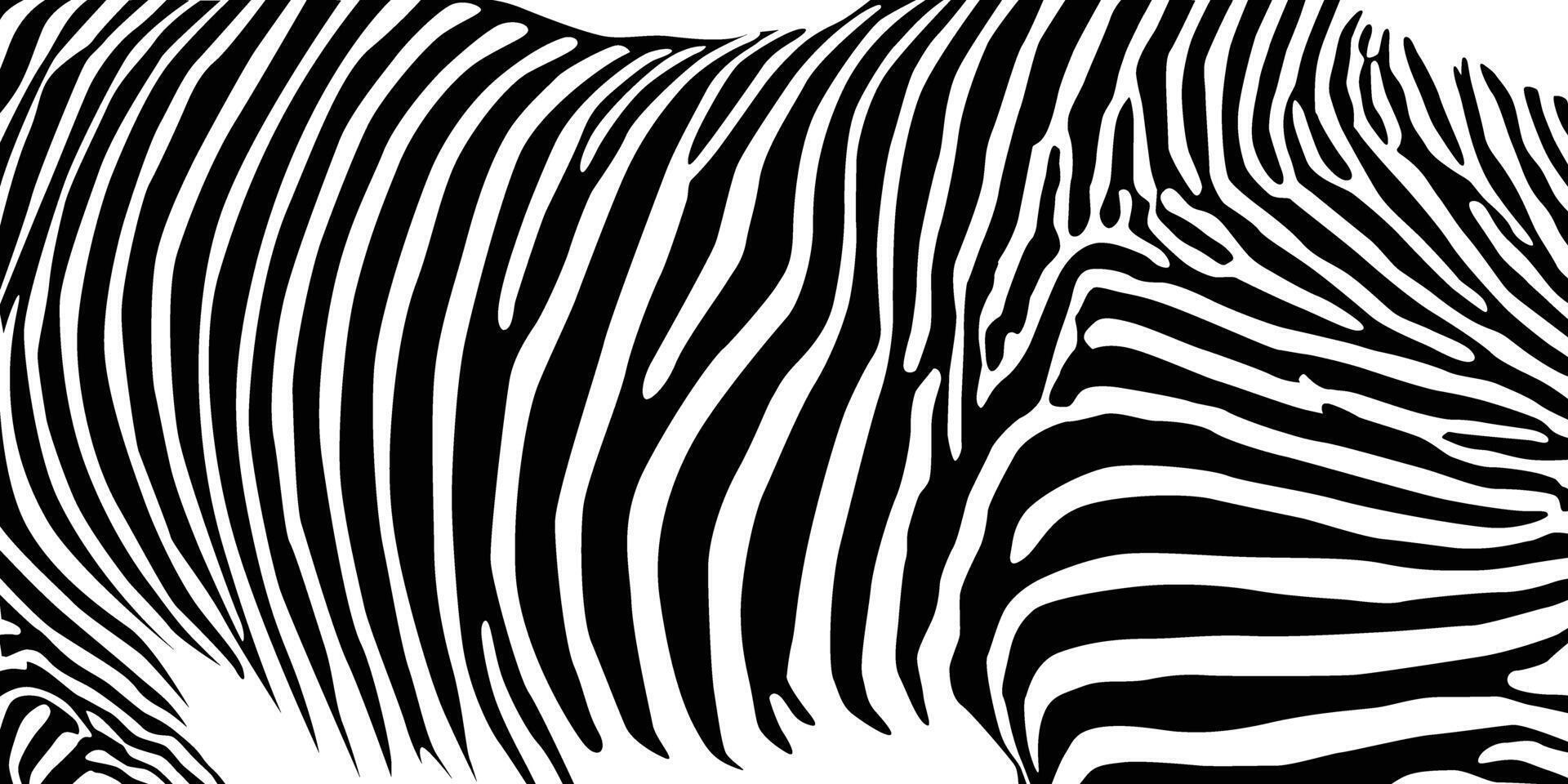 Zebra Muster gestalten Vektor Illustration zum Hintergrund Design.