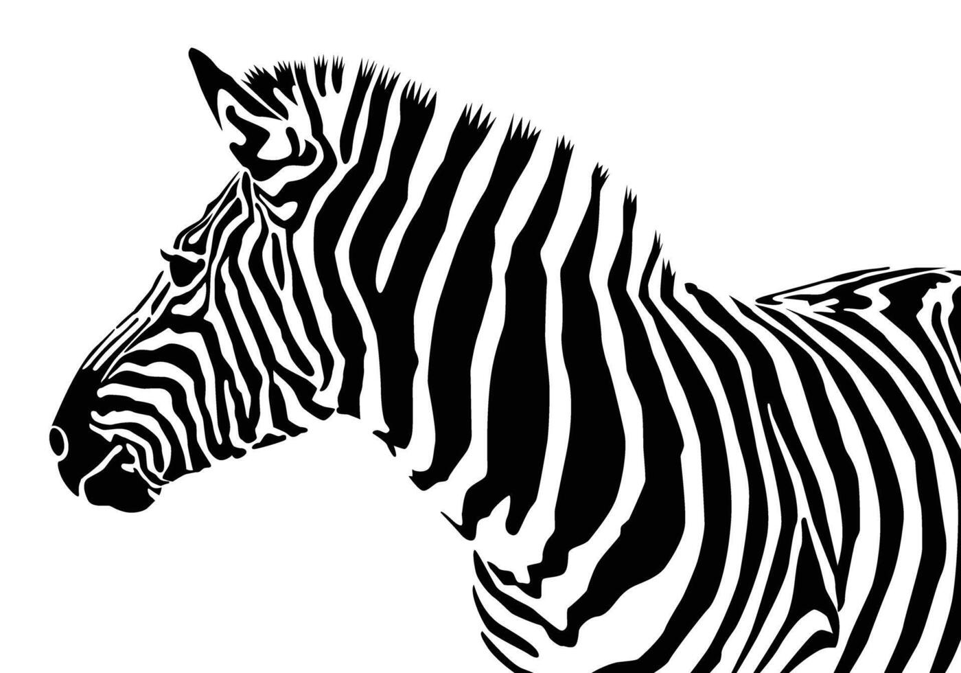 Zebra Muster gestalten Vektor Illustration zum Hintergrund Design.