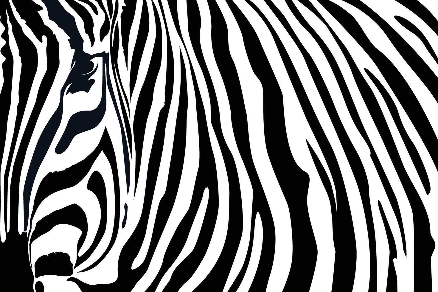 Zebra Muster gestalten Vektor im schwarz Weiß zum Hintergrund Design.