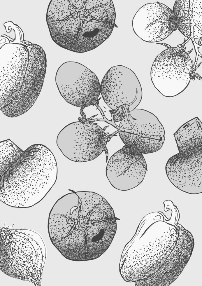gråskale grönsaker illustration skiss stil med spray textur vektor