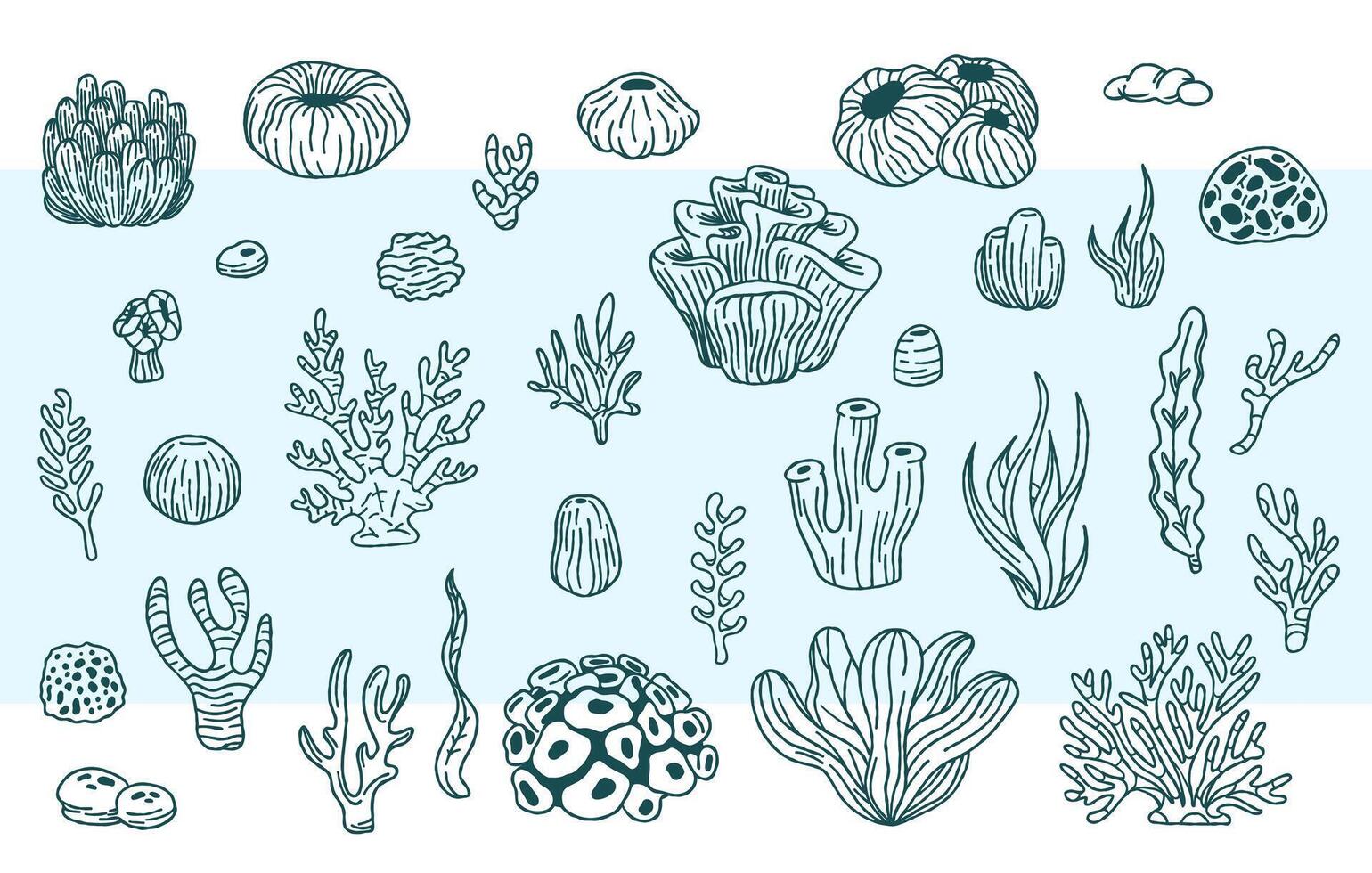 Vektor Sammlung von Hand gezeichnet Meer Unkraut, Korallen, Meer Anemonen Illustration. unter Wasser skizzieren.
