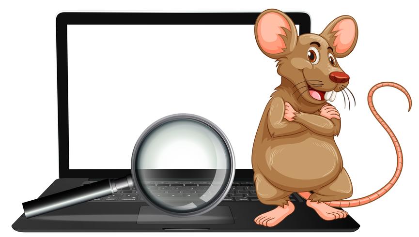 En råtta på laptop och förstoringsglas vektor