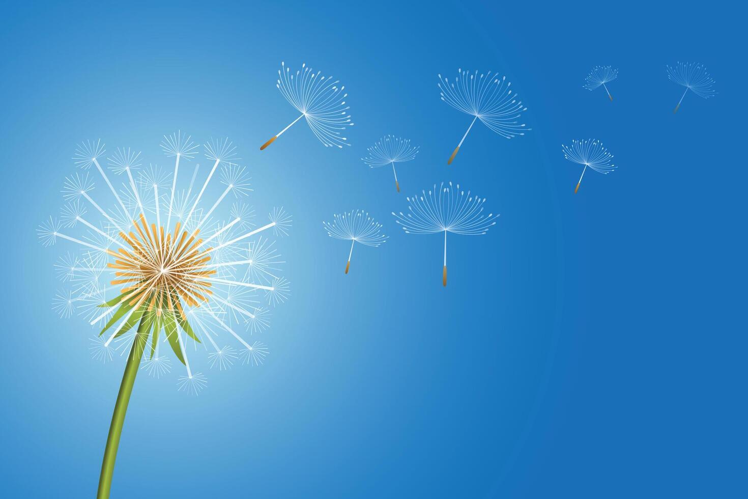 fliegend Löwenzahn Blume Saat machen ein Wunsch Konzept Hintergrund vektor