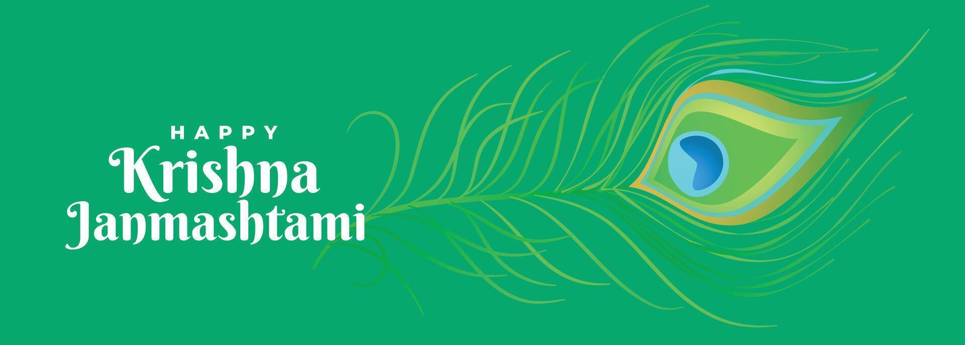 glücklich krishna Janmashtami Pfau Feder schön Banner Design vektor