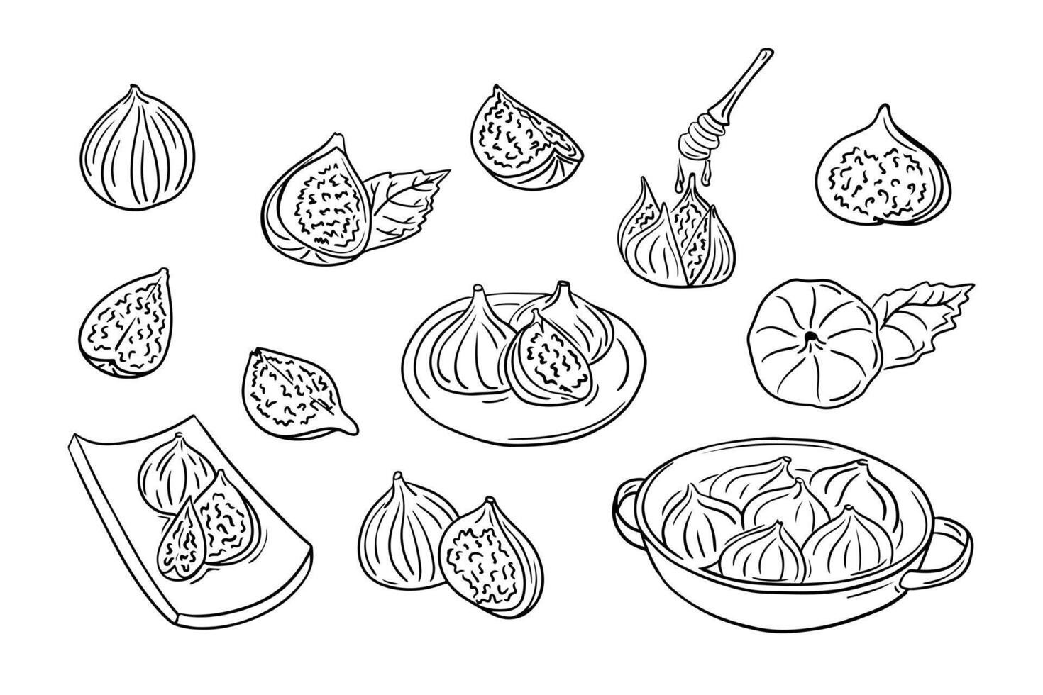 einstellen von skizzieren Kontur Zeichnungen von Feigen. Vektor Kontur Zeichnungen von Früchte zum gesund Essen auf Weiß Hintergrund. Ideal zum Färbung Seiten, Tätowierung, Aufkleber