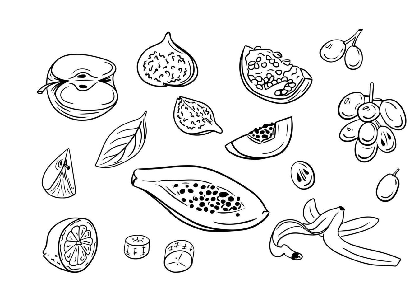 schwarz Hand gezeichnet skizzenhaft Zeichnungen von Früchte. Vektor Kontur Zeichnungen von Stücke von Früchte auf Weiß Hintergrund. Ideal zum Färbung Seiten, Tätowierung, Aufkleber
