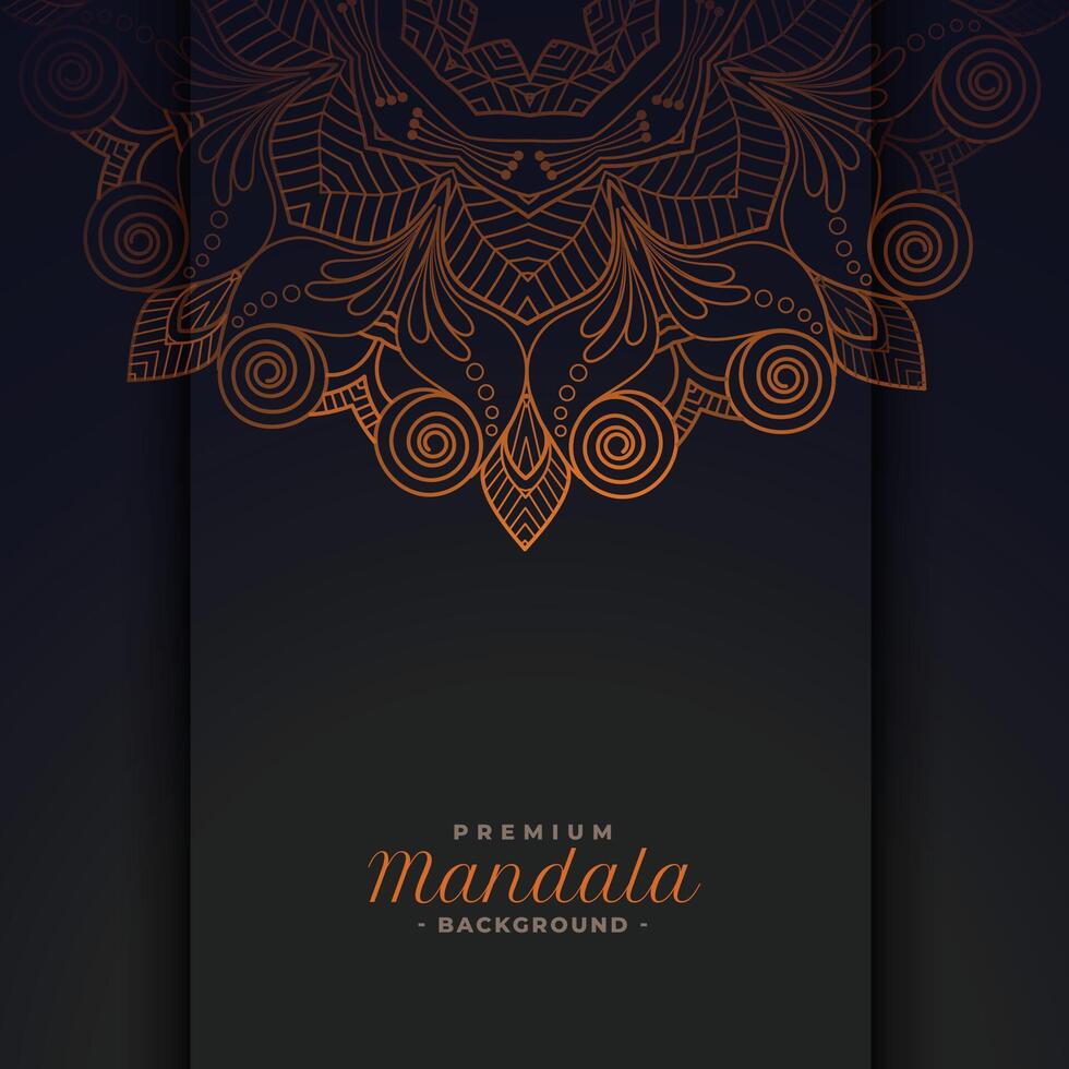 dekorativ ethnisch Mandala Muster Design Hintergrund vektor