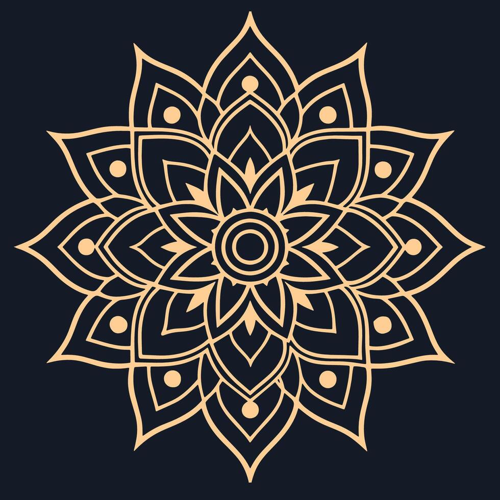 mandala. etnisk dekorativ element. hand dragen bakgrund. islam, arabiska, indian, ottoman motiv. vektor