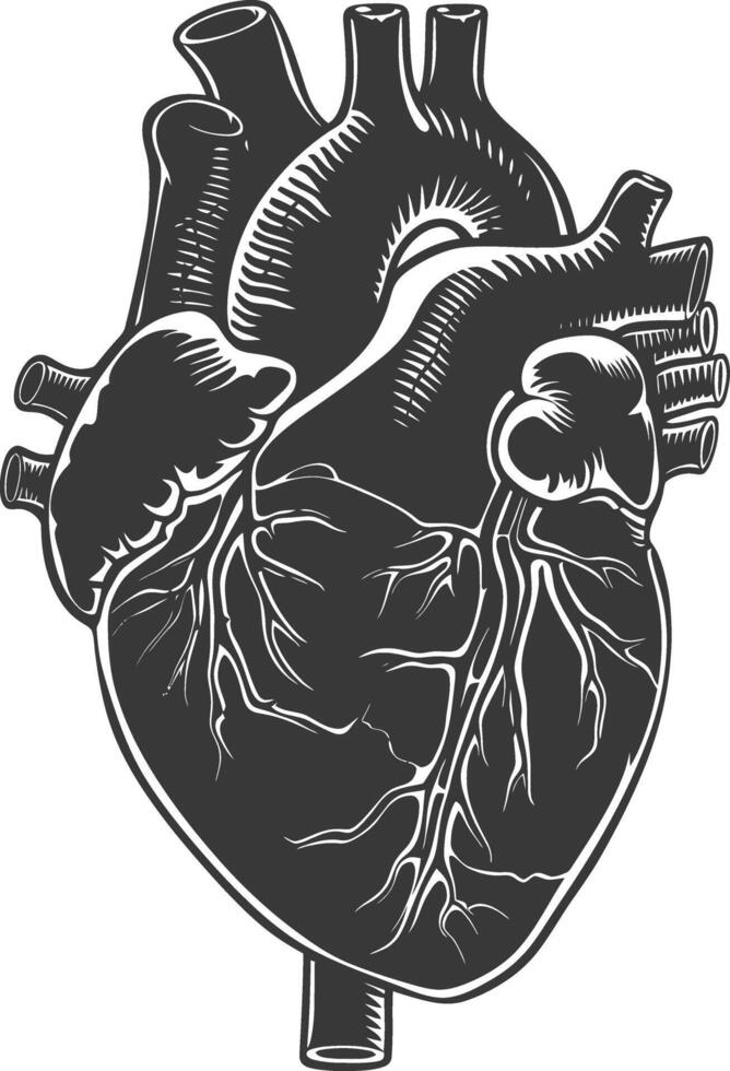 ai genererad silhuett för inre organ av hjärta svart Färg endast vektor