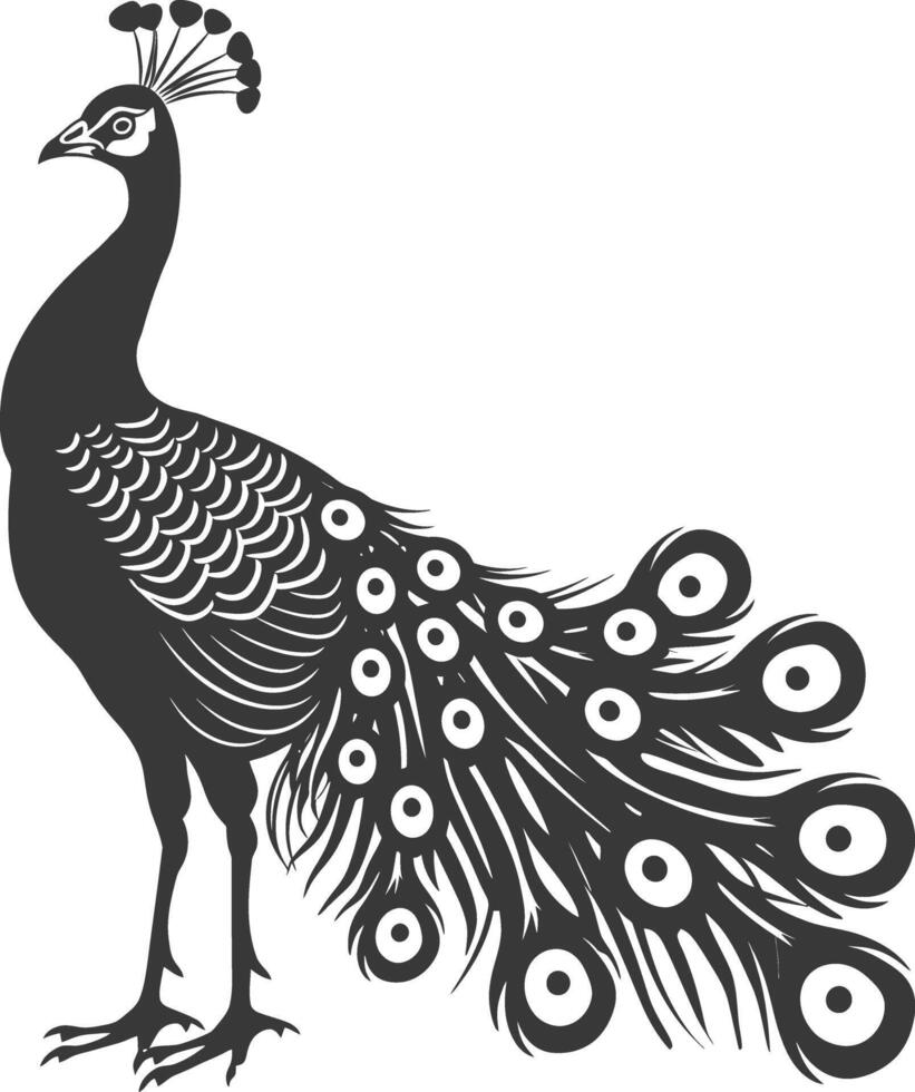 ai generiert Silhouette Pfau Vögel Tier erziehen Feder Schwanz schwarz Farbe nur vektor