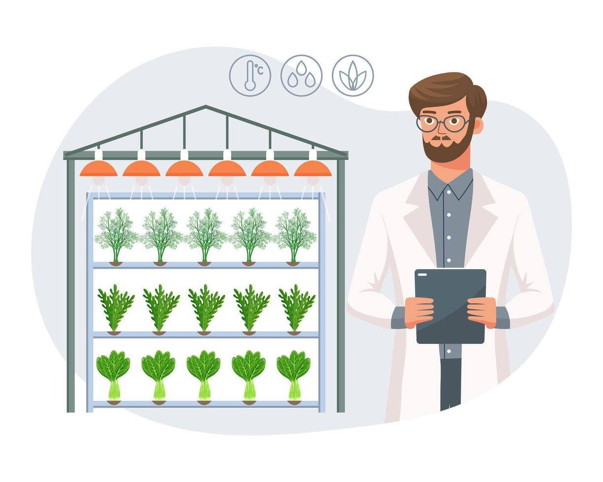 hydroponiska teknologi för växande växter. forskare eller bioteknolog på hydroponiska odla. vertikal jordbruk. smart odla. illustration, vektor