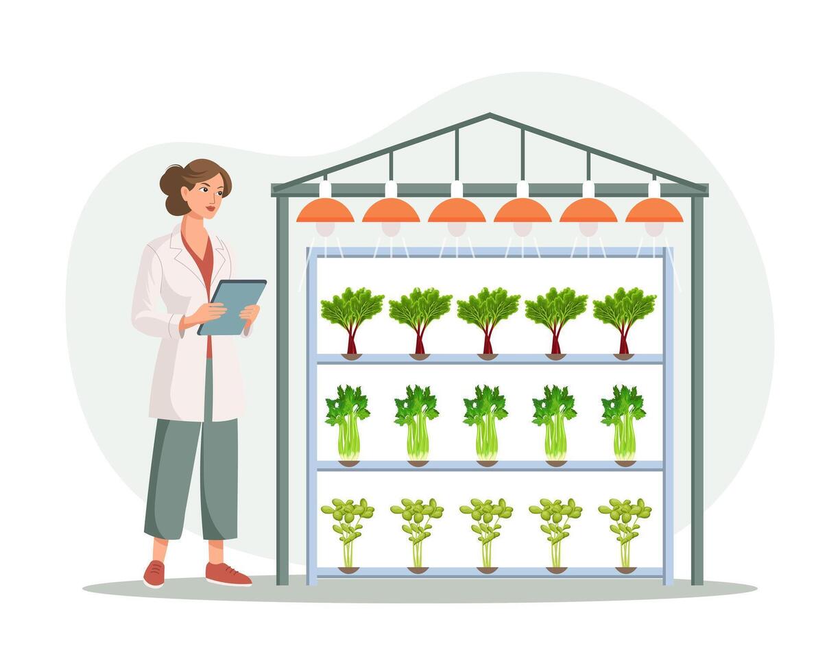 hydroponisch Technologie zum wachsend Pflanzen. Wissenschaftler oder Biologe beim hydroponisch Bauernhof. Vertikale Landwirtschaft. Clever Bauernhof. Illustration, Vektor