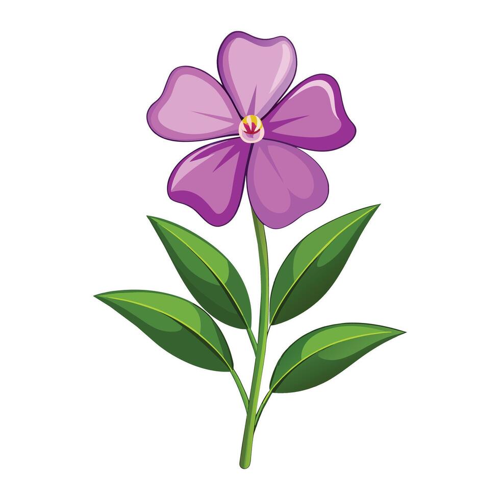 vinca blomma illustration på vit bakgrund. vektor