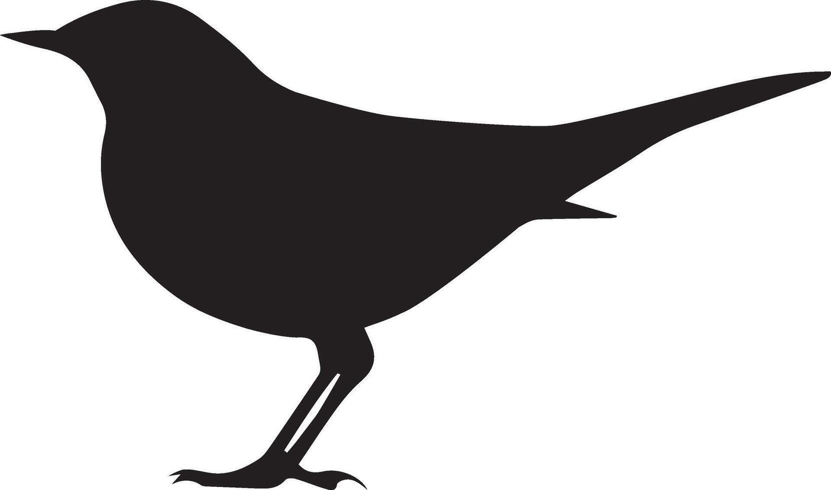 allmänning koltrast fågel isolerat över vit bakgrund. vektor illustration.