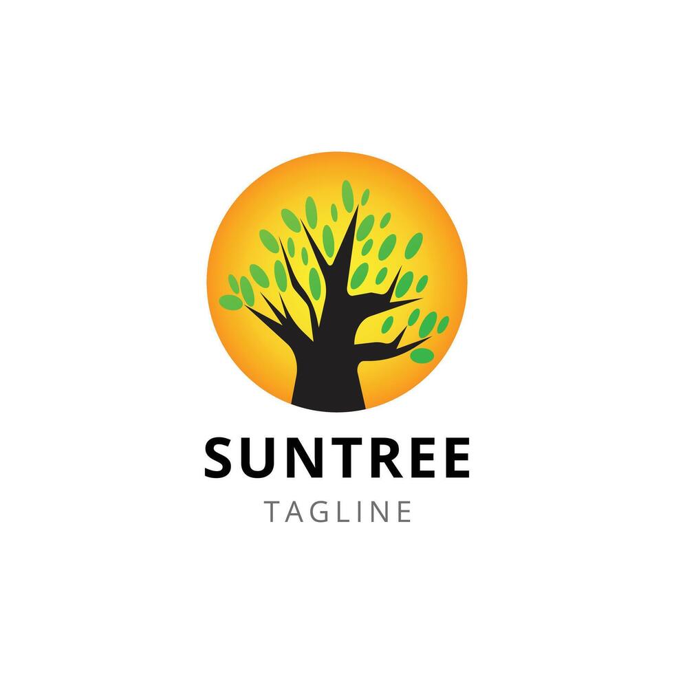 Sonne Baum Logo Design Vorlage Vektor