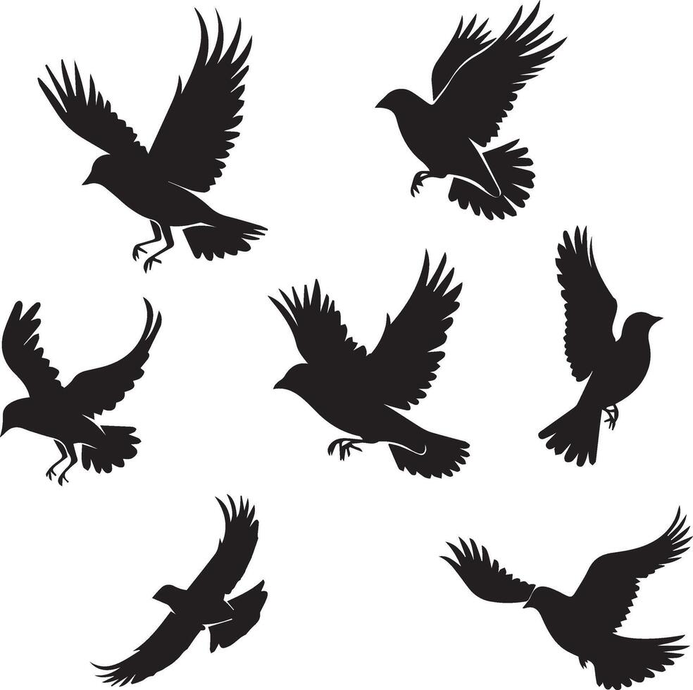fliegende Vögel Silhouetten auf weißem Hintergrund vektor