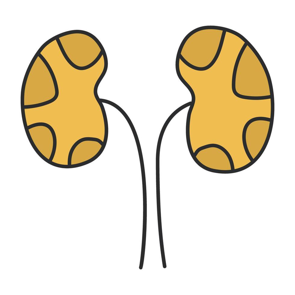 premium nedladdningsikon för njurar vektor