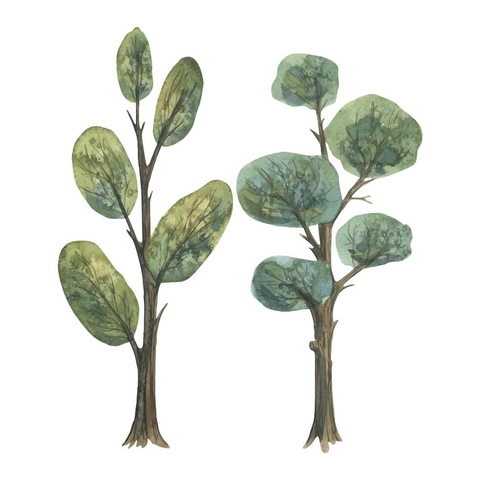 zwei Grün Bäume mit Laub. handgemalt Aquarell Illustration. isoliert Objekte auf ein Weiß Hintergrund. ein einstellen zum das Design und Design von Postkarten, Drucke, Poster, Kompositionen, Muster vektor