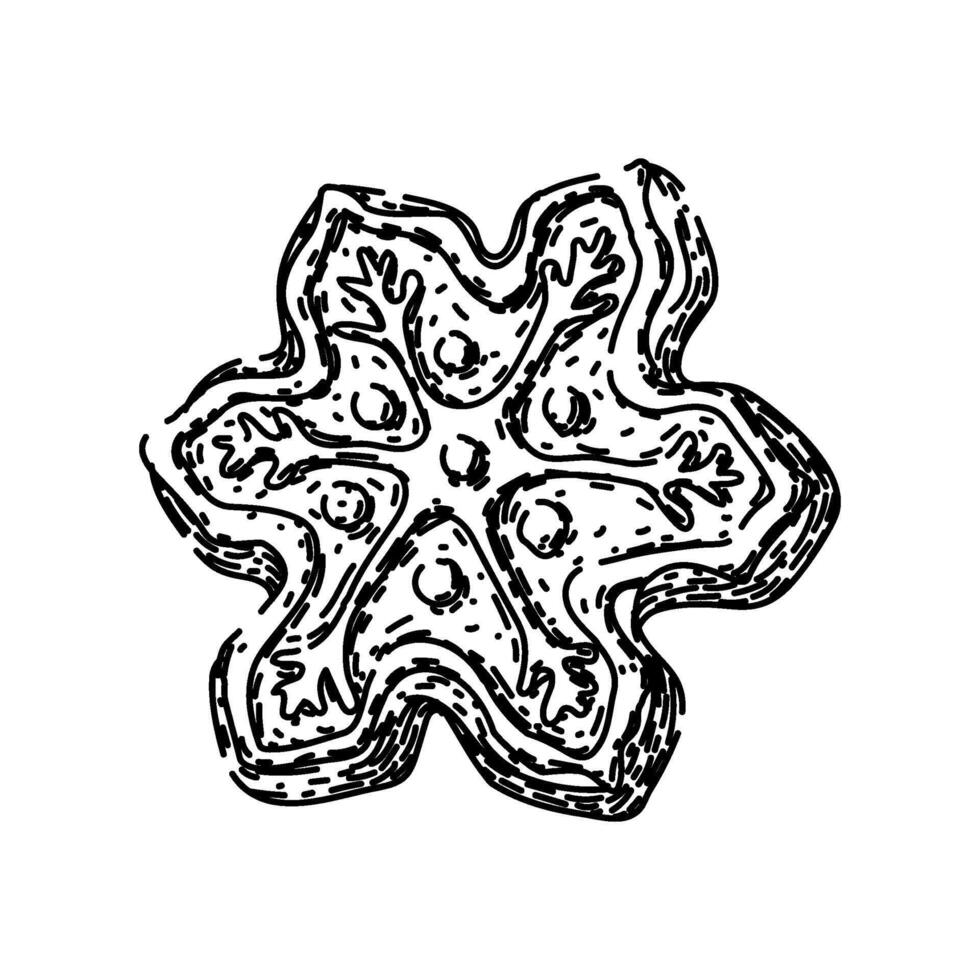 Schneeflocke Lebkuchen skizzieren Hand gezeichnet Vektor