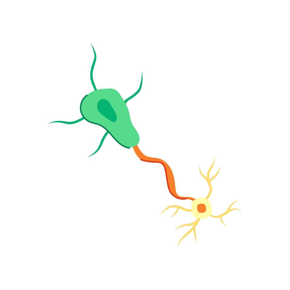 Synapse Neuronen Karikatur Vektor Illustration