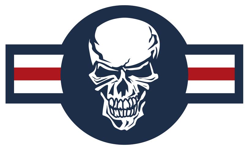 Militär flygplan emblem med skalle roundel färg vektor illustration
