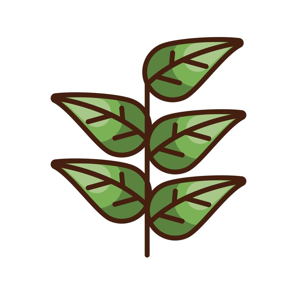 Thanksgiving-Blätter Pflanzen Herbst-Symbol vektor