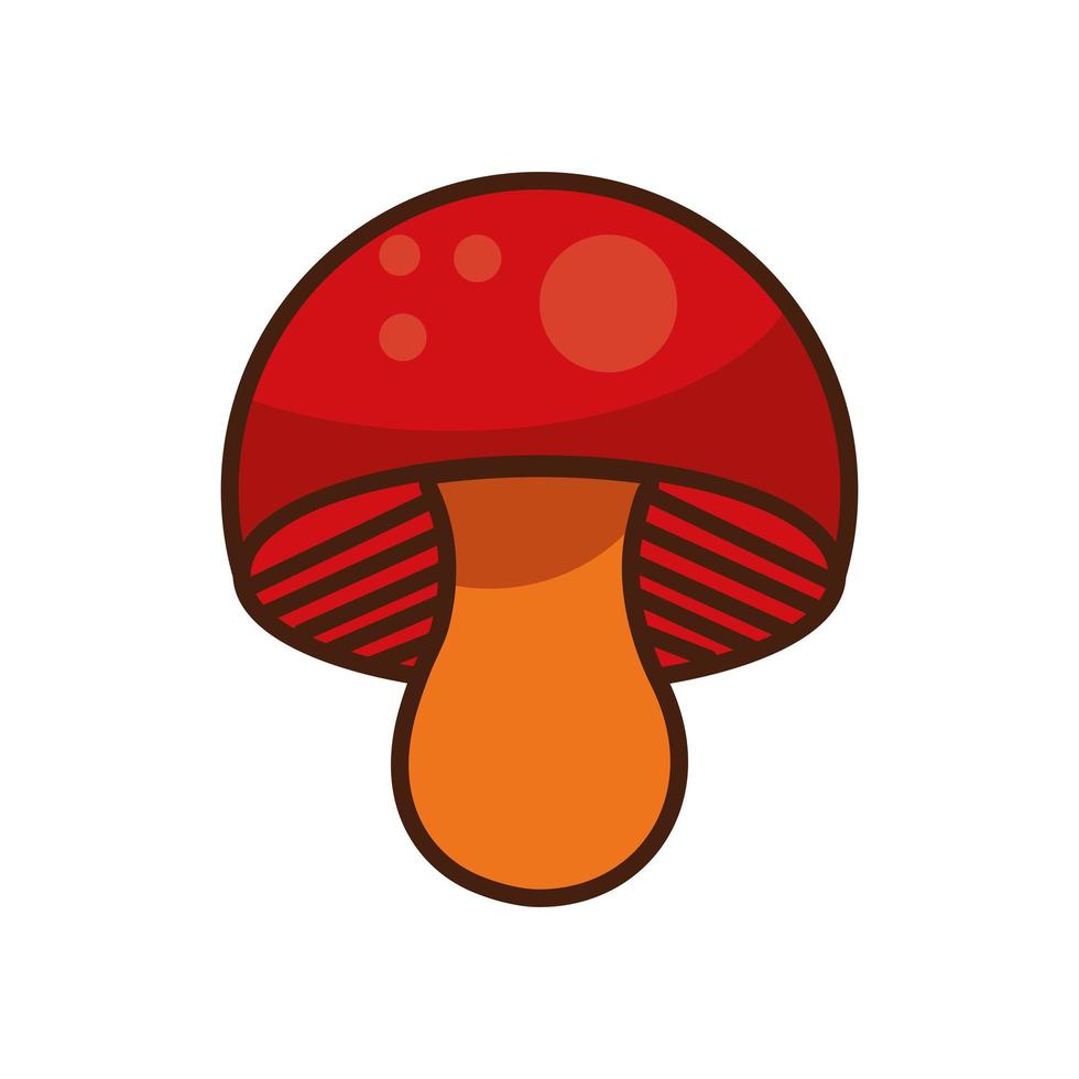 Pilz Herbst Natur isolierte Symbol vektor