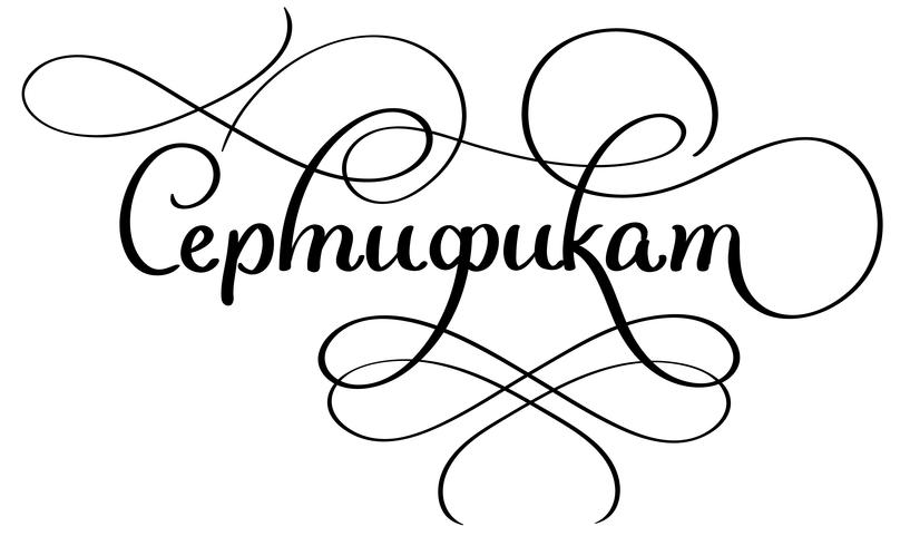Wort-Zertifikat auf Russisch mit Schnörkel auf weißem Hintergrund. Kalligraphiebeschriftungs-Vektorillustration EPS10 vektor
