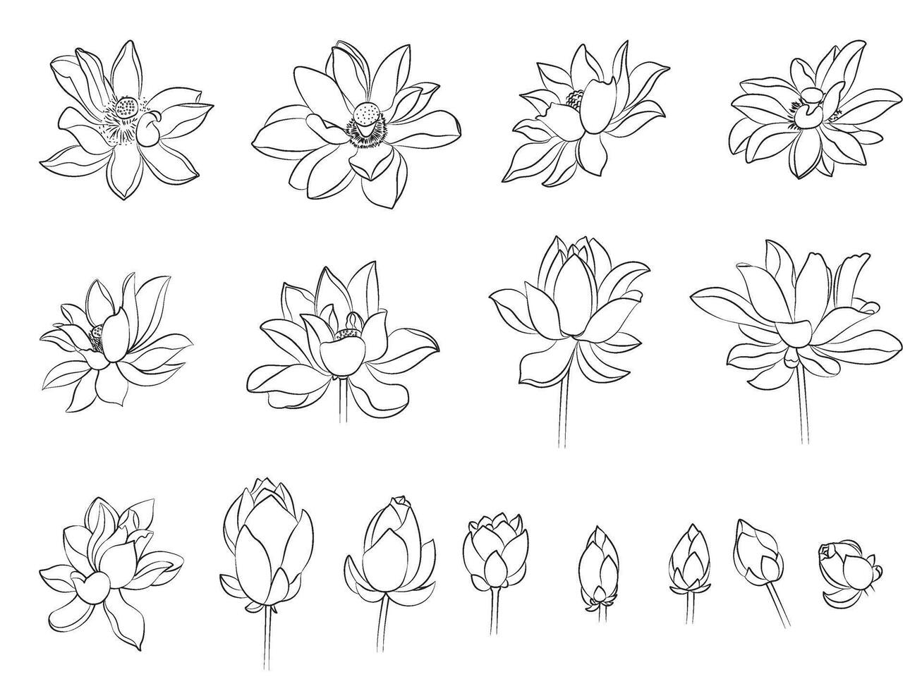 uppsättning av svart översikt ritningar av lotus blommor. vektor