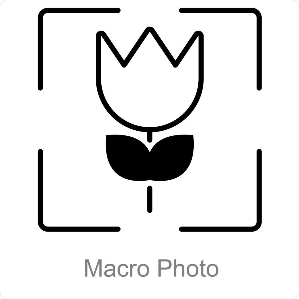Makro Foto und Reise Symbol Konzept vektor