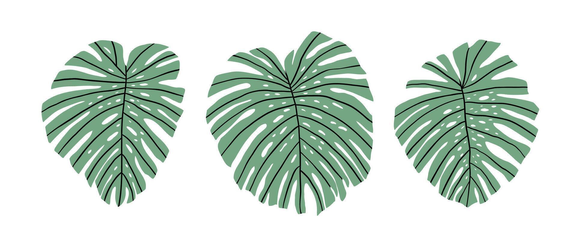 Hand gezeichnet einstellen mit tropisch Blätter. Dschungel, Regen Wald, Tierwelt. Vektor Illustration im eben Stil.
