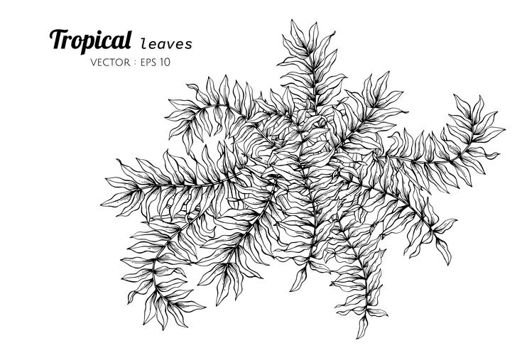 Tropiska löv ritande illustration. vektor