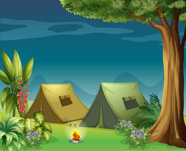 Zelte im Dschungel vektor
