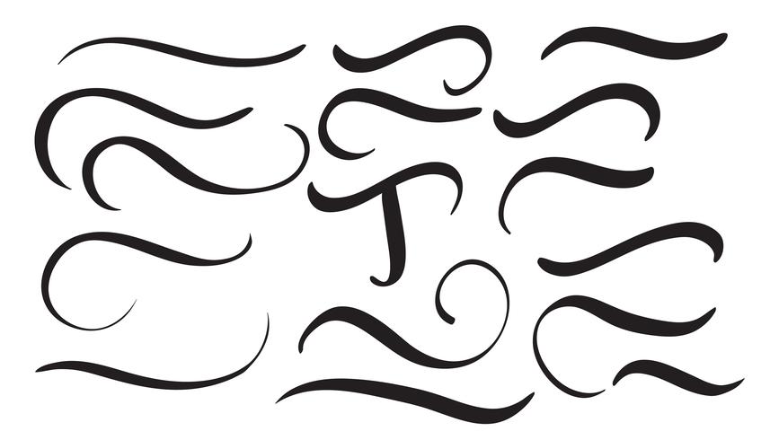 Satz Kunstkalligraphie blühen Vintage dekorative Quirle für Designbuchstaben. Vektorabbildung EPS10 vektor