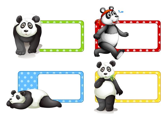 Etiketter design med pandaer vektor