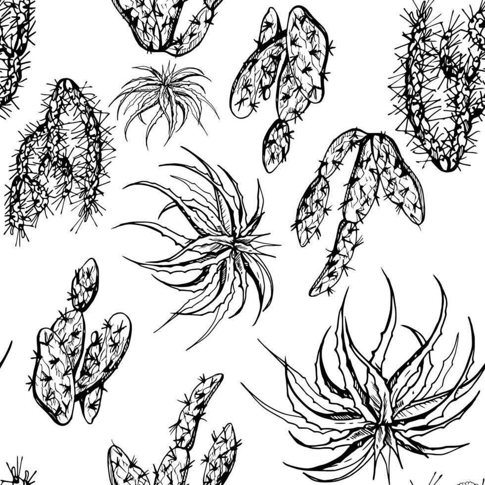 Hand gezeichnet Tinte Vektor Illustration, Natur tropisch exotisch Wüste Pflanze saftig Kaktus Aloe Agave Blätter. nahtlos Muster isoliert auf Weiß Hintergrund. Design reisen, Urlaub, Broschüre, drucken