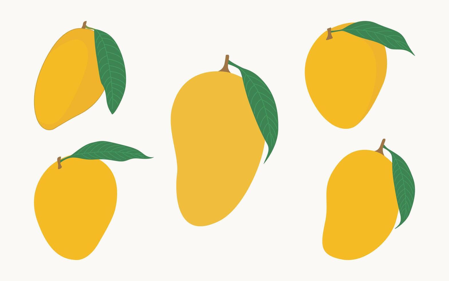 Mango Vektor Illustration Hand Zeichnung Grafik bündeln