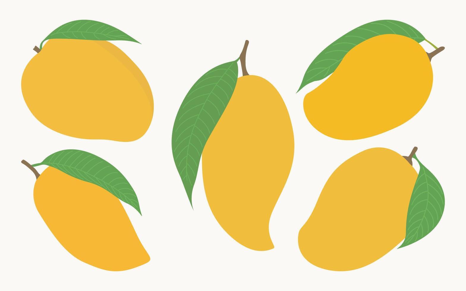 Mango Vektor Illustration Hand Zeichnung Grafik bündeln