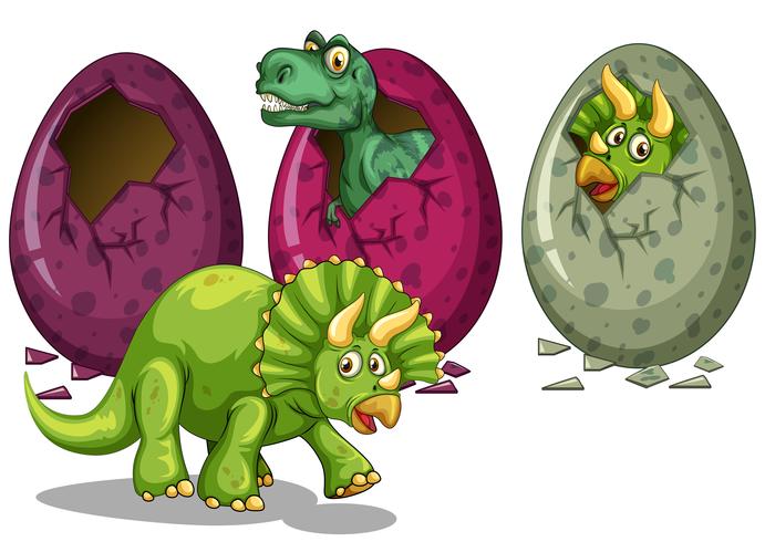 Drei Arten von Dinosauriern, die Eier ausbrüten vektor