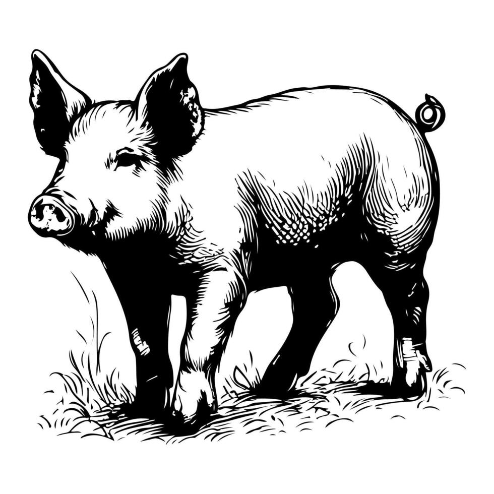 ai generiert Hand zeichnen schwarz skizzieren groß Fett Schwein Vektor Illustration isoliert auf Weiß Hintergrund